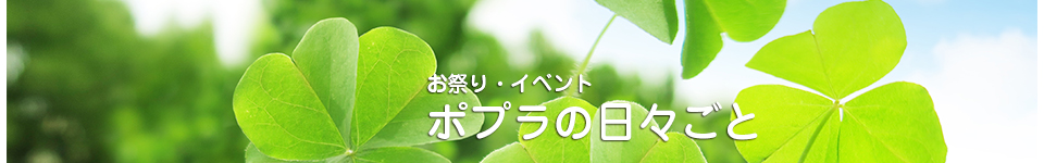 ポプラの日々ごと