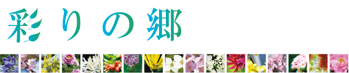 彩りの郷