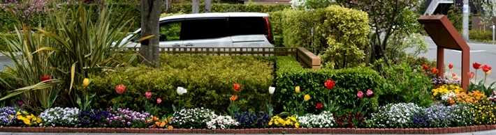 彩りの郷のボランティア